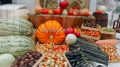 Шалом, Биробиджан!. Пусть за окном уже лежит первый снег, мы не прощаемся с осенью без одного из самых уютных её праздников — Тыквенного Спаса