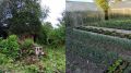 Как превратить заброшенный участок в урожайный огород за выходные: история успеха