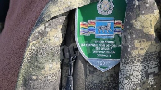 В МЧС рассказали, в каких случаях зимой нужно спасать лебедей