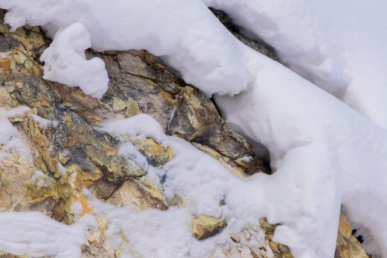 Финалисты определены! Готовимся к приключению в Долину тигров и Кульдур! Финалисты определены! Готовимся к приключению в Долину тигров и Кульдур!