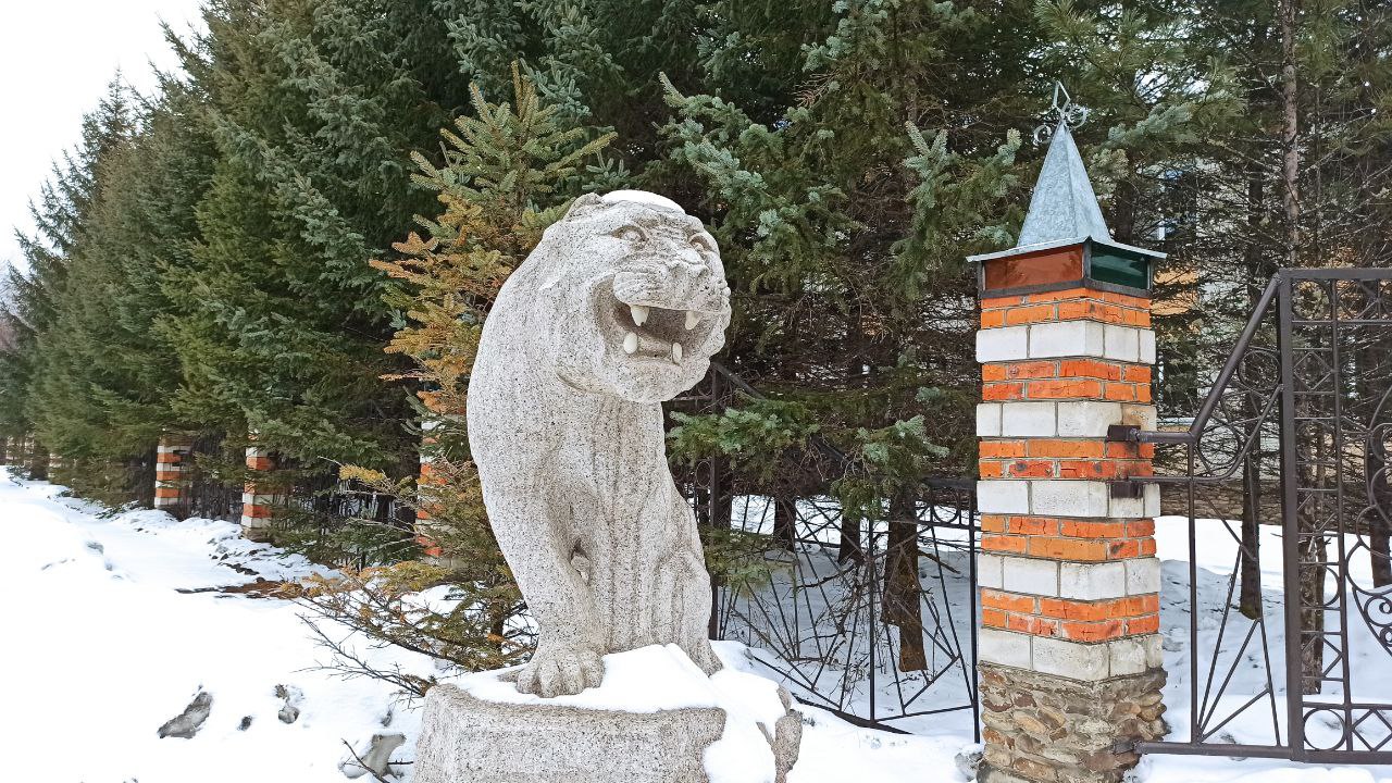 Финалисты определены! Готовимся к приключению в Долину тигров и Кульдур! Финалисты определены! Готовимся к приключению в Долину тигров и Кульдур!