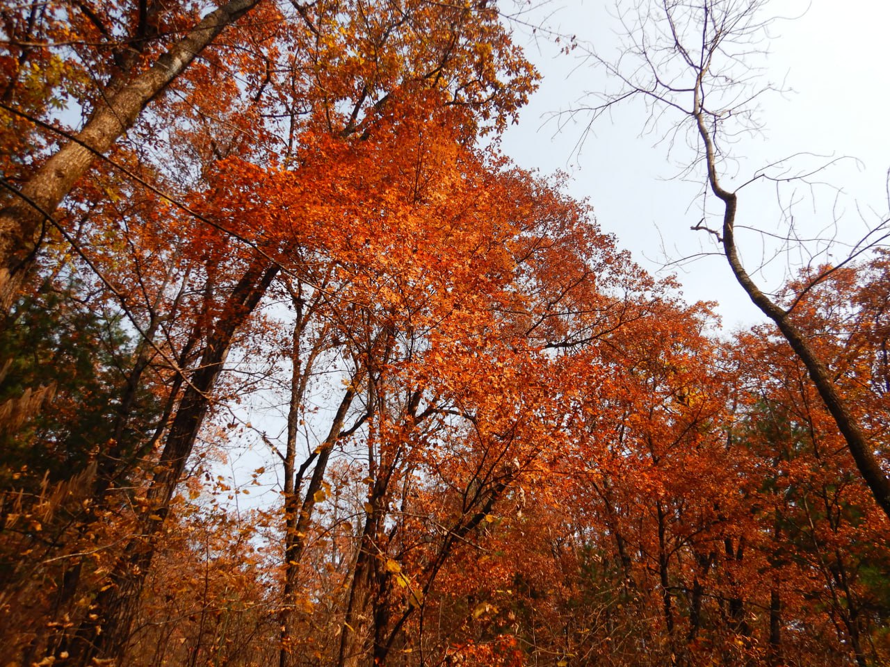 Пожароопасную обстановку в ЕАО удалось стабилизировать в течение недели