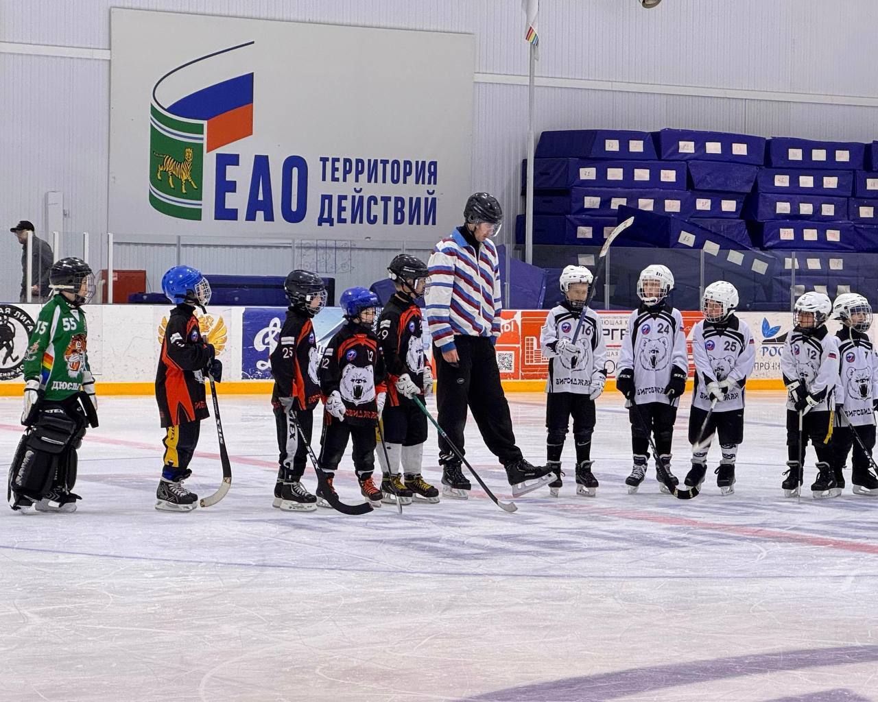 Первенство ЕАО по хоккею с мячом пройдет в преддверии Дня народного единства в Биробиджане (6+)
