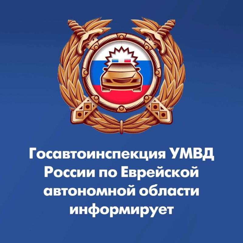 На территории Еврейской автономной области сотрудники Госавтоинспекции проведут массовые проверки водителей в праздничные дни