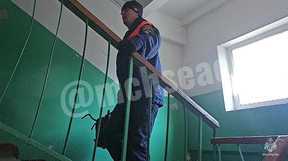 3 дня не на связи!. Биробиджанцы забили тревогу о своей родственнице по прошествии трёх суток как та была не на связи