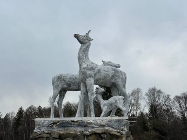 Мы подготовили для вас астропрогноз на завтрашний день: