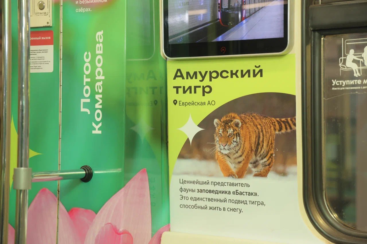 Пассажиры московского метро узнают про ЕАО через фирменный поезд Пассажиры московского метро узнают про ЕАО через фирменный поезд