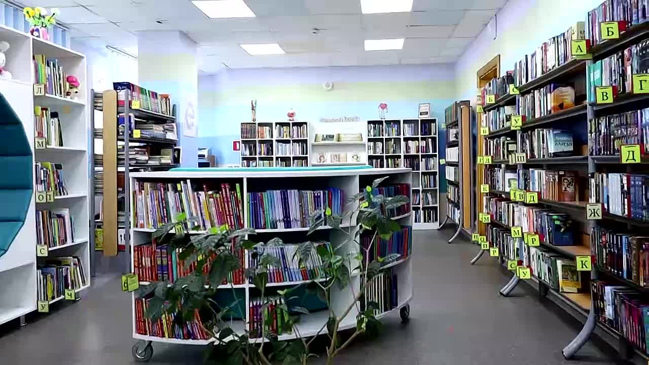 Библиотеки ЕАО ремонтируют благодаря инициативам президента