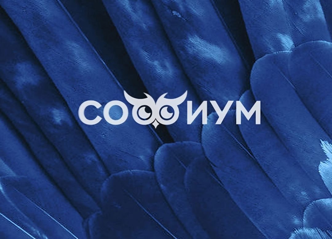 Приглашаем школьников Еврейской автономной области принять участие в олимпиаде «Софиум»