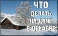 Зимние заботы: чего не стоит забывать дачникам в декабре перед началом рассадного сезона