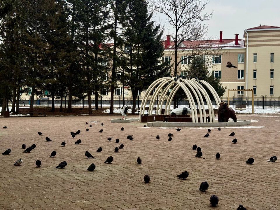 Доброе утро, друзья!. Сегодня в областной столице ожидается малооблачная погода