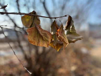 У Водолеев появится возможность экспериментировать, а Тельцы будут легко принимать решения