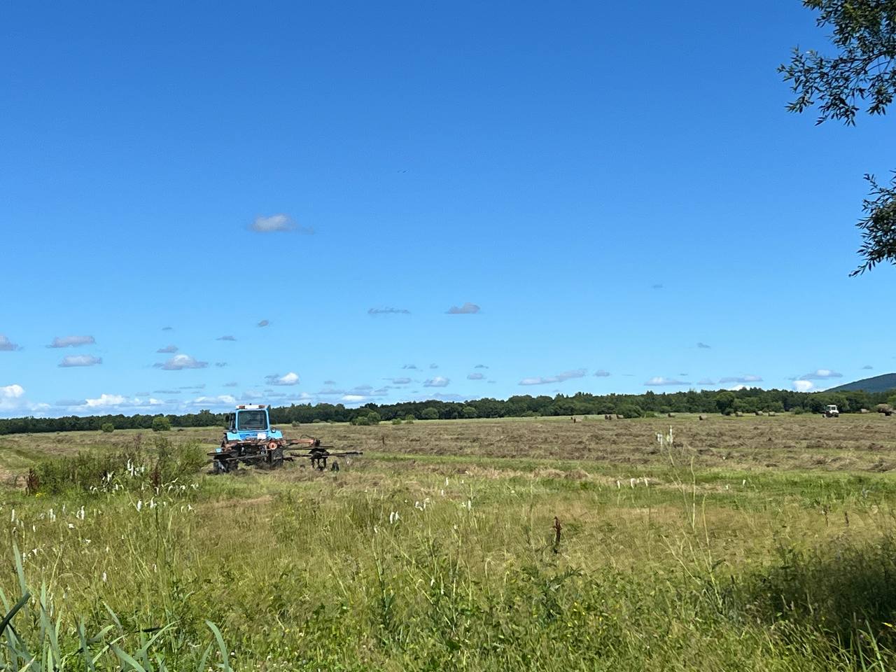 Рис и кукурузу собрали в Биробиджанском районе ЕАО
