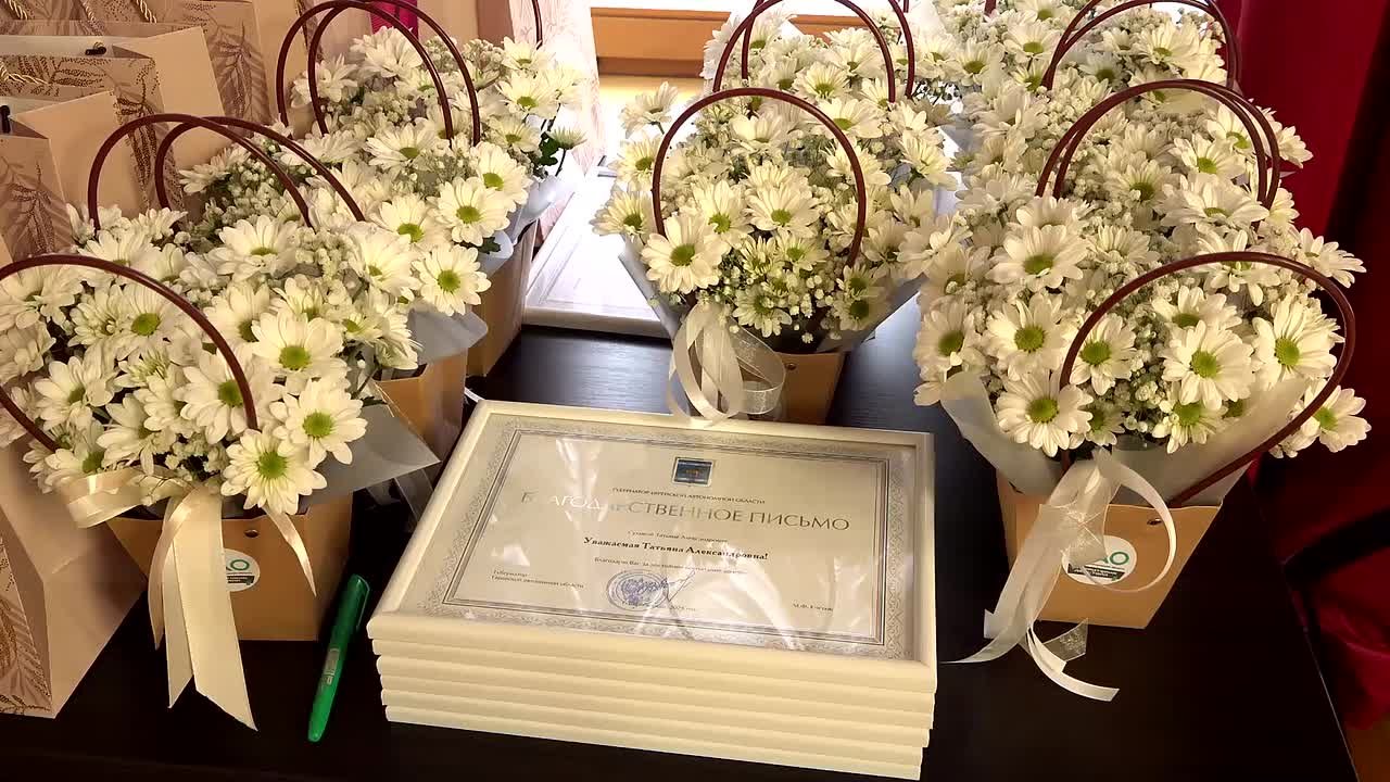 Губернатор ЕАО Мария Костюк вручила заслуженным жителям региона высокие награды