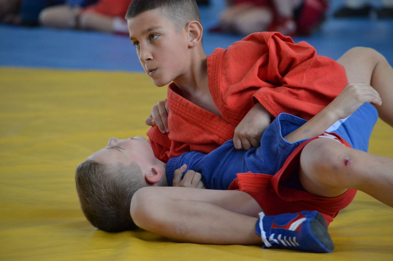 В Еврейской автономной области состоялся масштабный фестиваль по самбо «Юный Динамовец» В Еврейской автономной области состоялся масштабный фестиваль по самбо «Юный Динамовец»