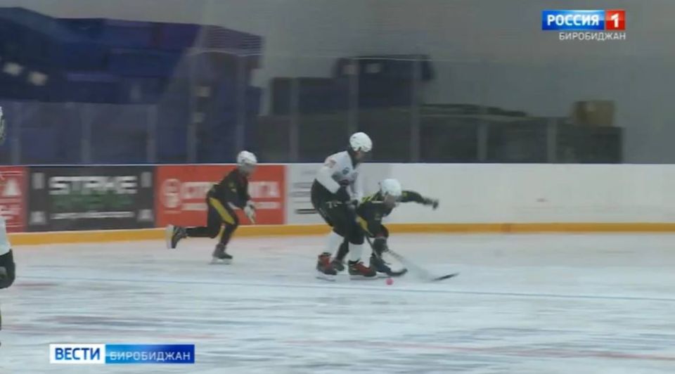 Тренеры отделения хоккея с мячом областной спортшколы ожидают новых воспитанников