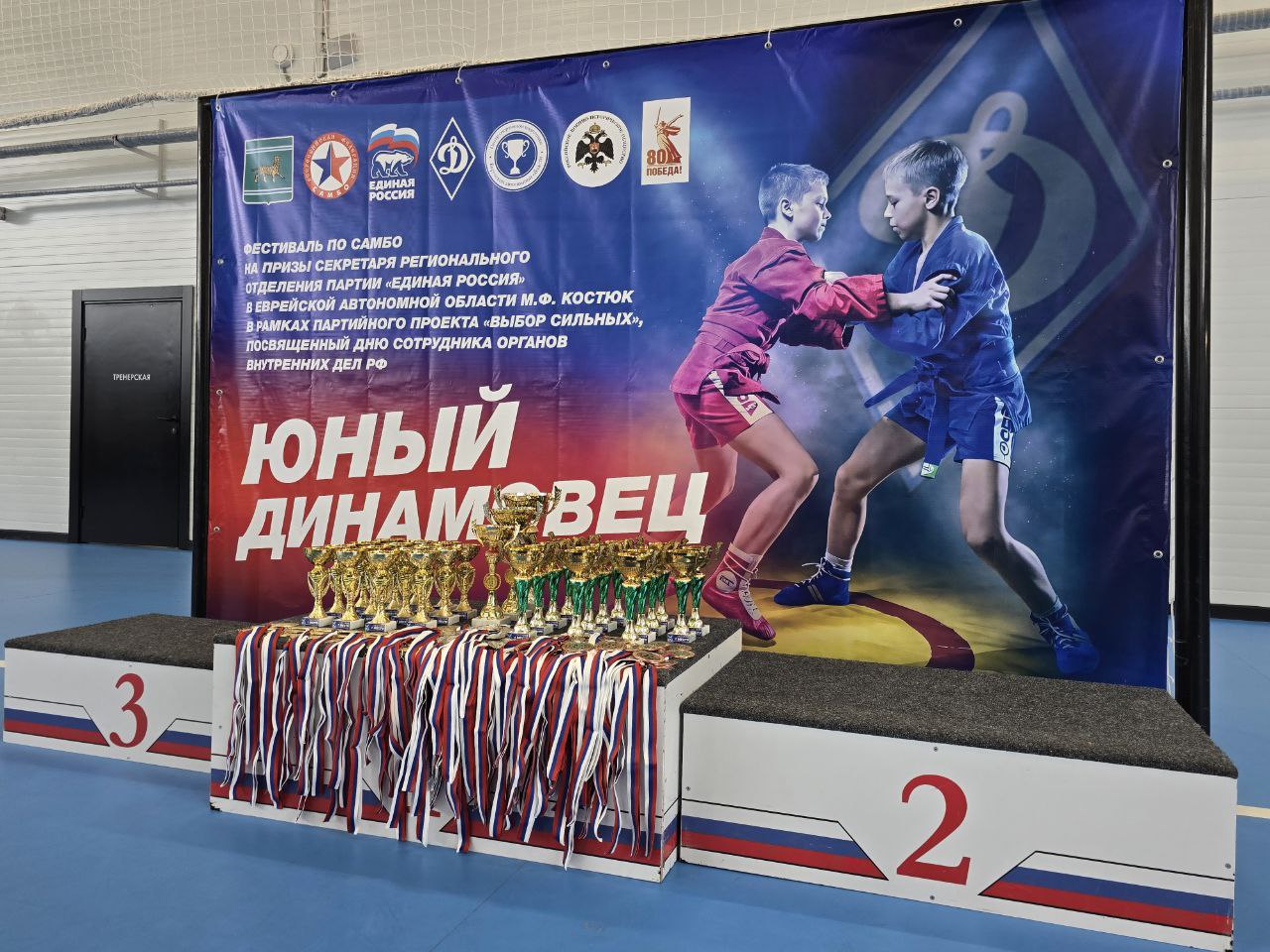 В Еврейской автономной области состоялся масштабный фестиваль по самбо «Юный Динамовец» В Еврейской автономной области состоялся масштабный фестиваль по самбо «Юный Динамовец»