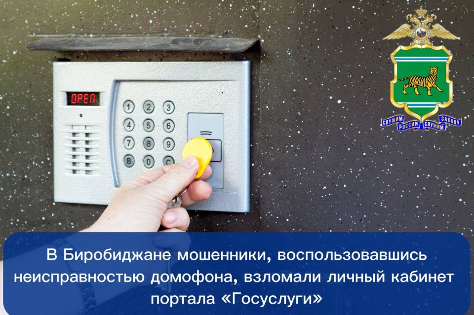 В Биробиджане мошенники, воспользовавшись неисправностью домофона, взломали личный кабинет портала «Госуслуги»