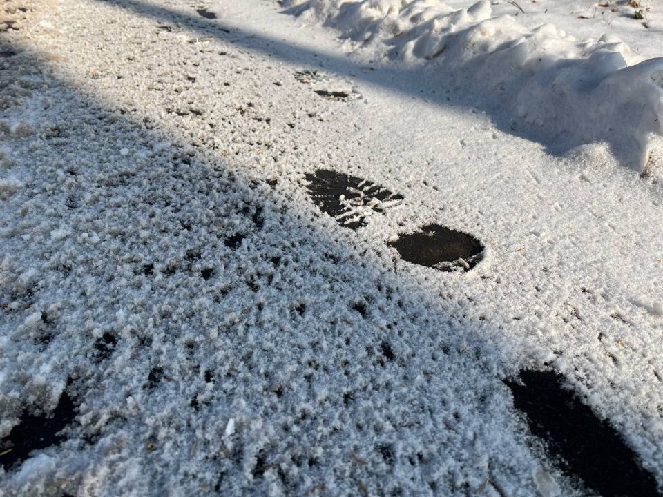 У Тельцов возможны приятные сюрпризы, а Близнецы смогут легко адаптироваться