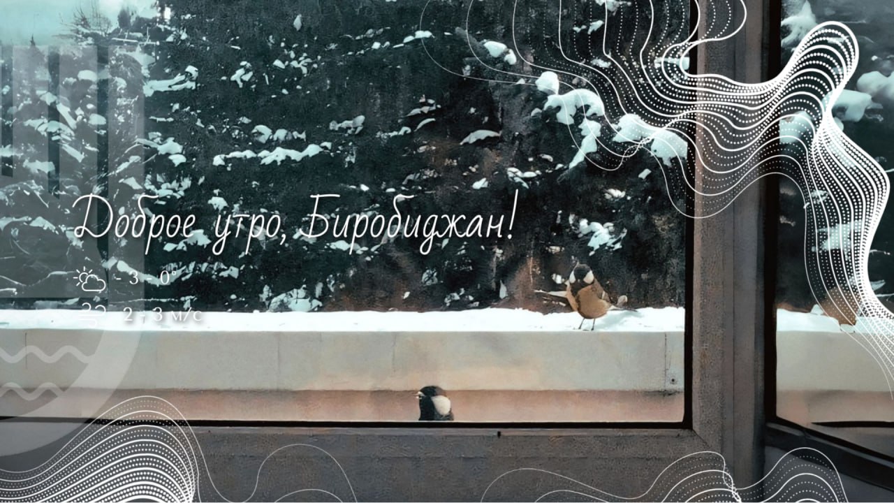 Шалом, Биробиджан!. 12 ноября — не просто народная примета, а официальный экологический праздник! Синичкин день был учрежден в начале 2000-х годов по инициативе Союза охраны птиц России