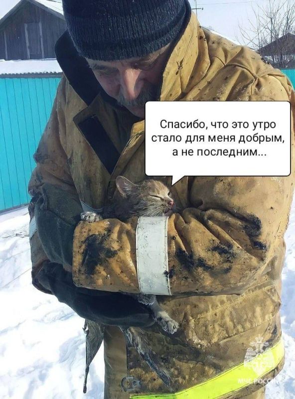 Усы, опаленные огнем. Ответственность за пожарную безопасность лежит на каждом! Не соблюдаешь правила пожарной безопасности - могут пострадать другие! МЧС России напоминает: