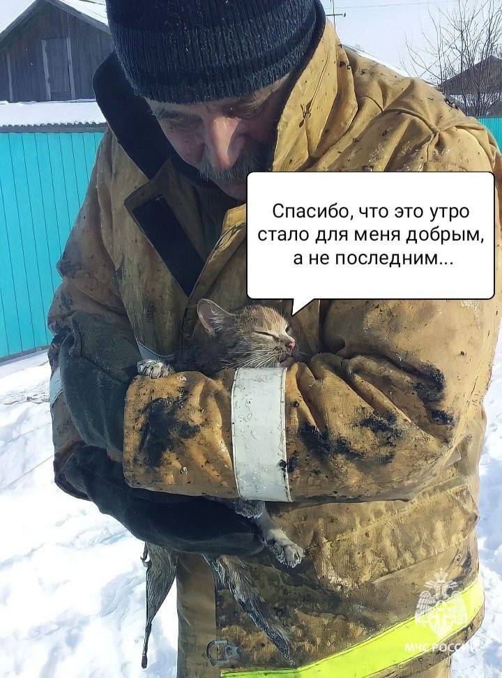 Усы, опаленные огнем. Ответственность за пожарную безопасность лежит на каждом! Не соблюдаешь правила пожарной безопасности - могут пострадать другие! МЧС России напоминает: