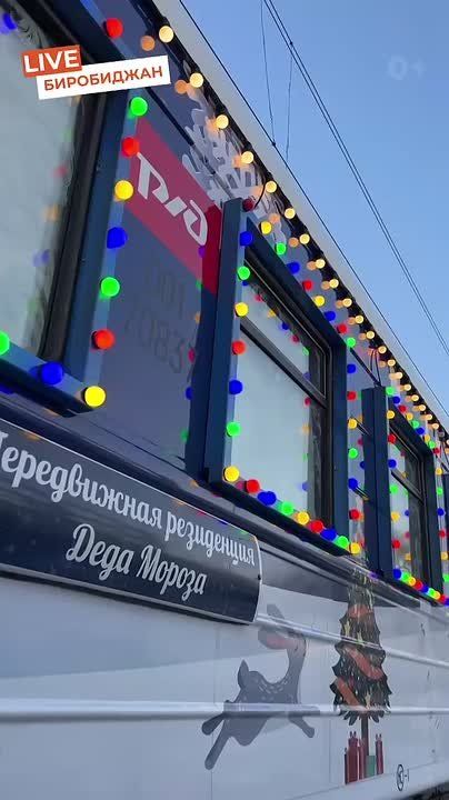 Поезд Деда Мороза сделает остановку в ЕАО