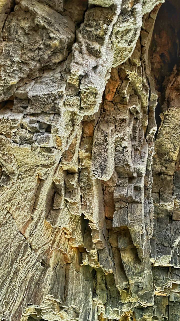 Объявляем регистрацию на бесплатный тур в Бираканские пещеры Объявляем регистрацию на бесплатный тур в Бираканские пещеры