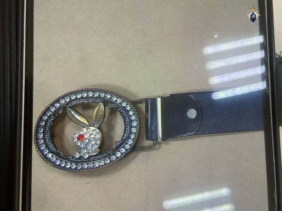 Житель Хабаровска предстанет перед судом за причинение тяжкого вреда здоровью со смертельным исходом сожительнице