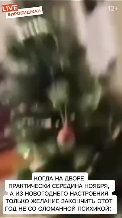 Новогодние праздники медленно приближаются в ЕАО