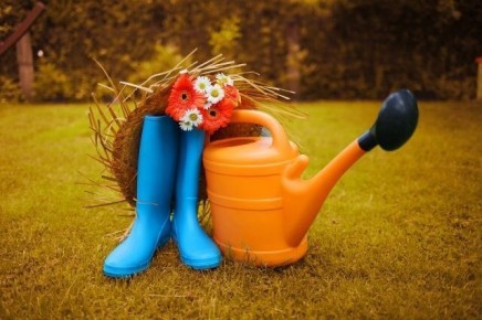 Секреты осеннего ухода за садом: что необходимо сделать перед зимой