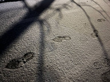 День Водолеев полон сюрпризов, а Ракам захочется сделать пространство вокруг комфортнее