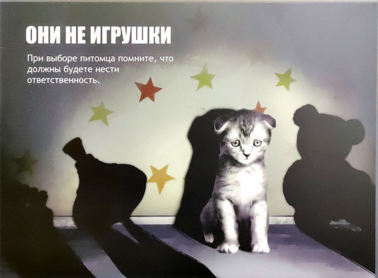 Самое время принять участие в конкурсе современного плакатного искусства «Время смыслов» (6+) Самое время принять участие в конкурсе современного плакатного искусства «Время смыслов» (6+)