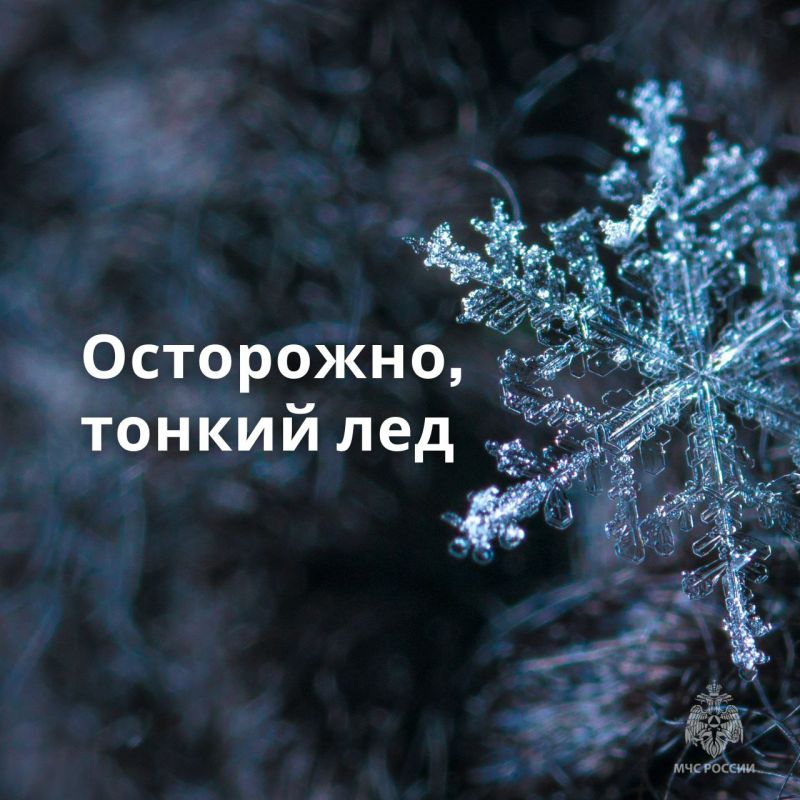 Подожди, пока лёд не окрепнет