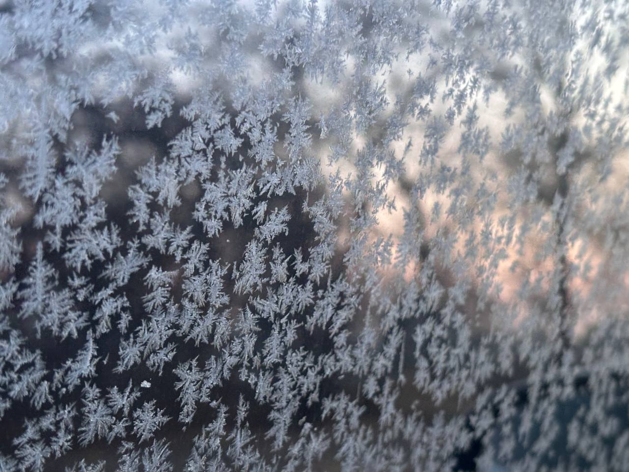 Харизма Водолеев привлечёт внимание окружающих, а от Близнецов потребуется дисциплина