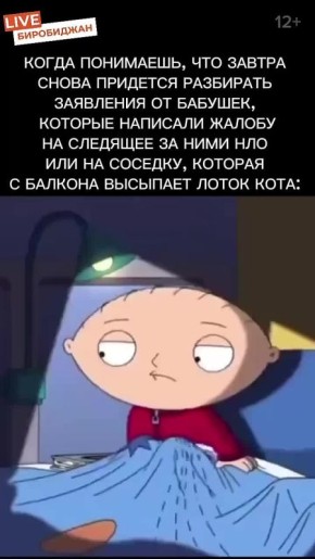 День участковых уполномоченных полиции празднуется в Биробиджане