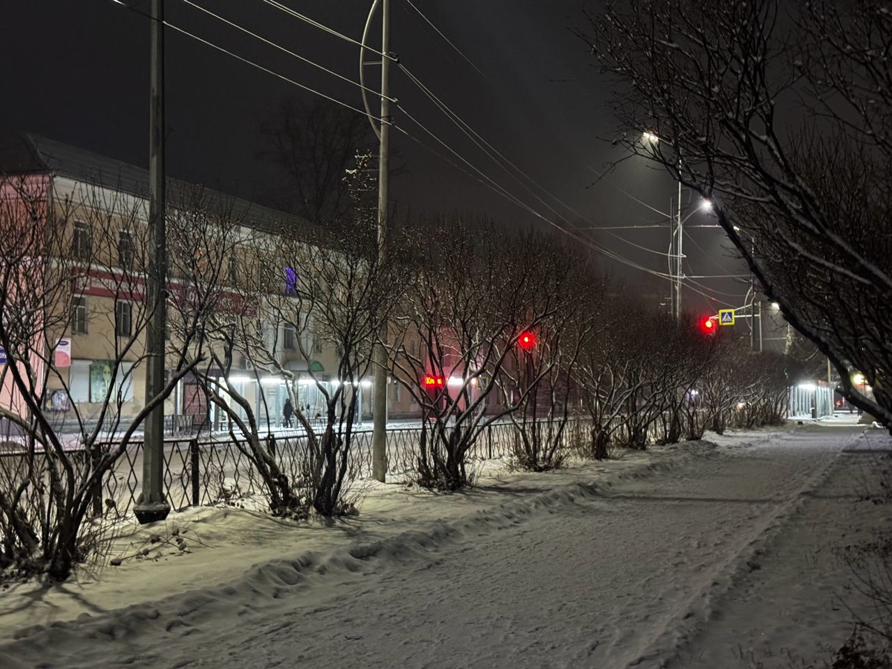Делиться фотографиями снежного Биробиджана будем? Делиться фотографиями снежного Биробиджана будем?