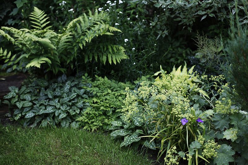 Как создать гармоничный миксбордер: удачные и неудачные примеры