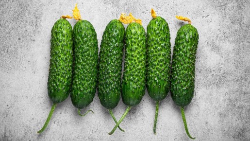 Такие огурцы не годятся для консервации: все банки помутнеют и взорвутся