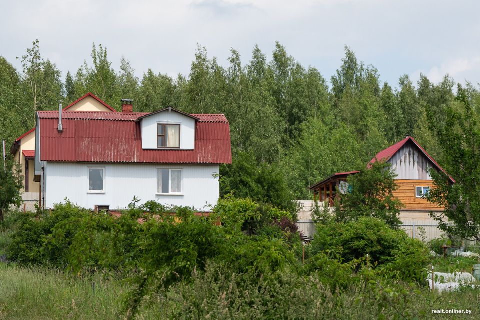 Как вернуть тишину на даче: эффективные шаги против шумных соседей