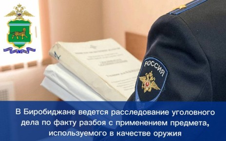 В Биробиджане ведется расследование уголовного дела по факту разбоя с применением предмета, используемого в качестве оружия
