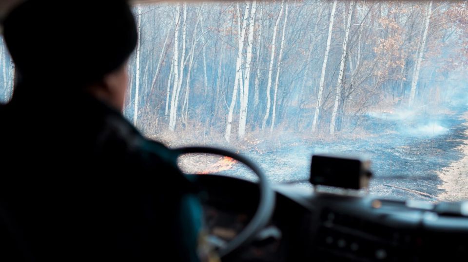 Фиксировать нарушения лесного законодательства в ЕАО будут при помощи беспилотных летательных аппаратов