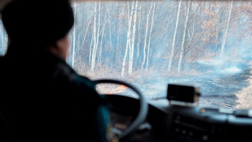 Фиксировать нарушения лесного законодательства в ЕАО будут при помощи беспилотных летательных аппаратов