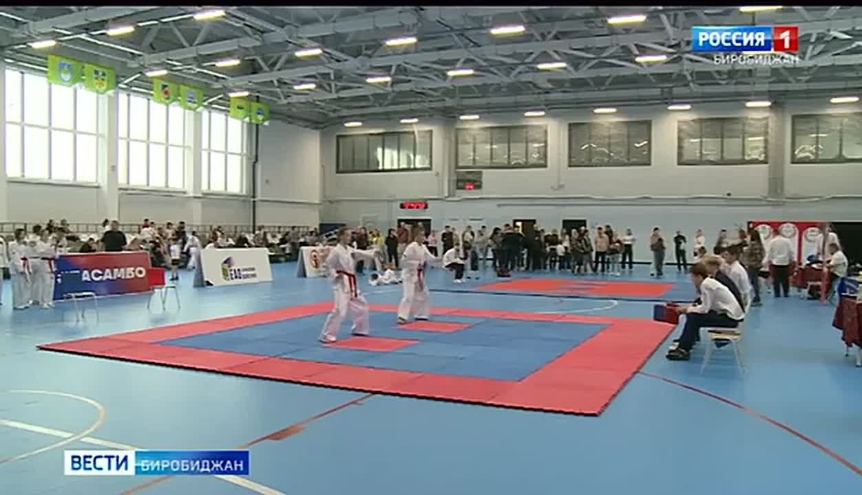 Чемпионат и первенство ЕАО по тхеквондо версии ГТФ провели в Биробиджане