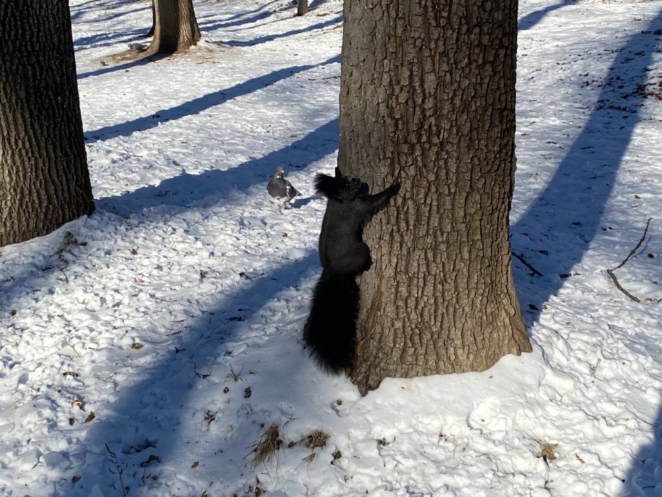 У Раков могут возникнуть неожиданные, но приятные затраты, а у Скорпионов возможны конфликты