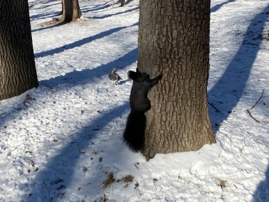 У Раков могут возникнуть неожиданные, но приятные затраты, а у Скорпионов возможны конфликты
