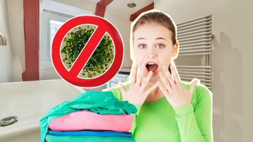 Выкидывать одежду не придется: с этим дешевым средством пятна плесени исчезнут на глазах