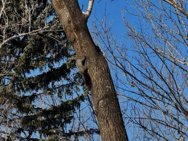 Мы подготовили для вас астропрогноз на завтрашний день: