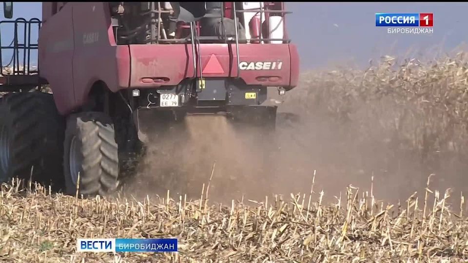 Доброе утро! Встречаем четверг вместе с «Вести Биробиджан»!