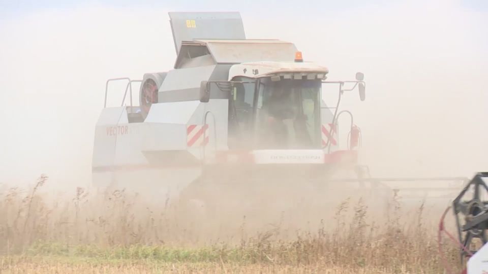 В ЕАО подводят итоги сельскохозяйственного года